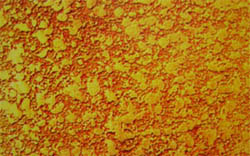 ���׽�����